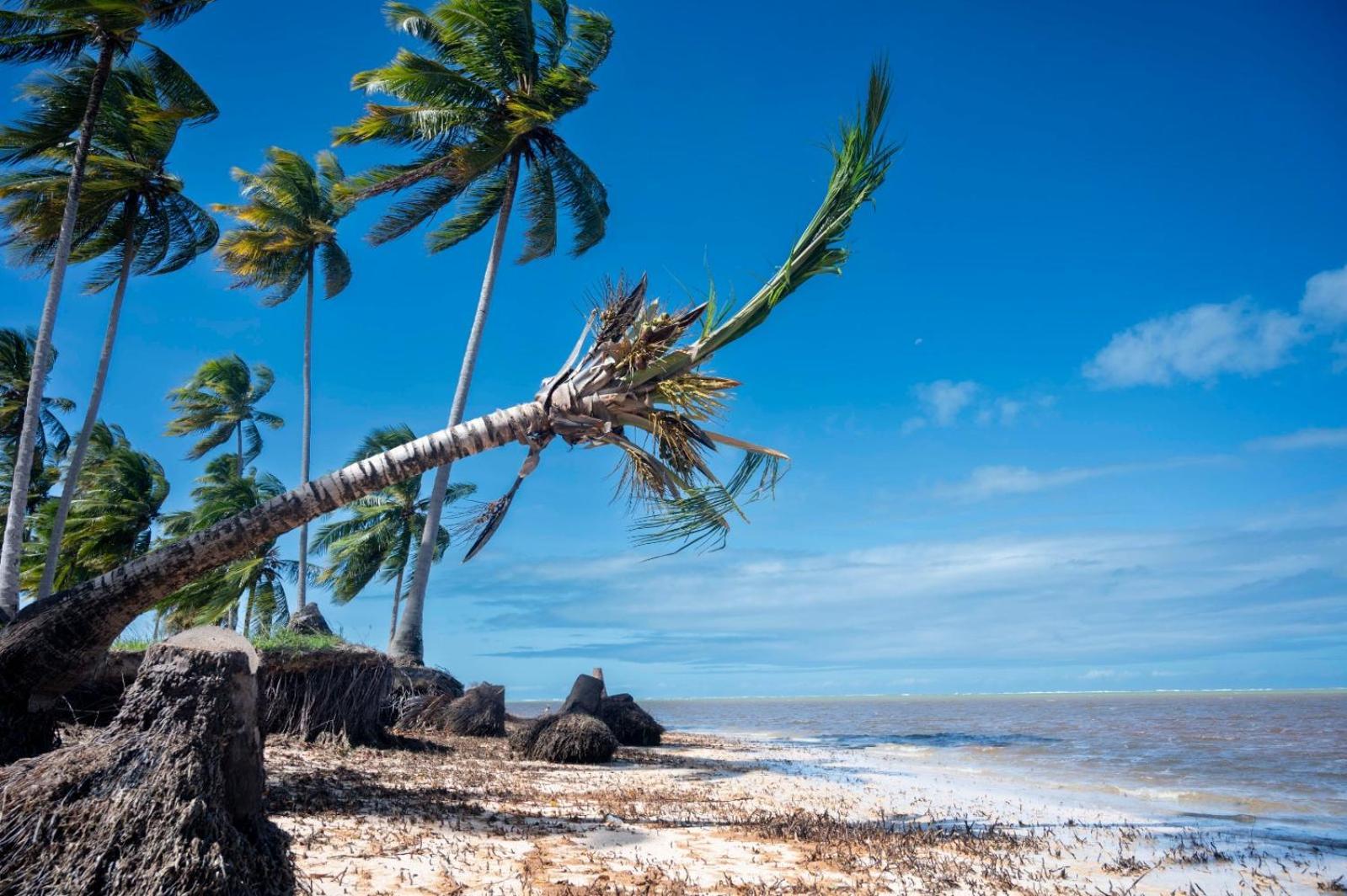 Bangalô Verde Recanto Uaná - 280m praia Tatuamunha Maceio  Bagian luar foto